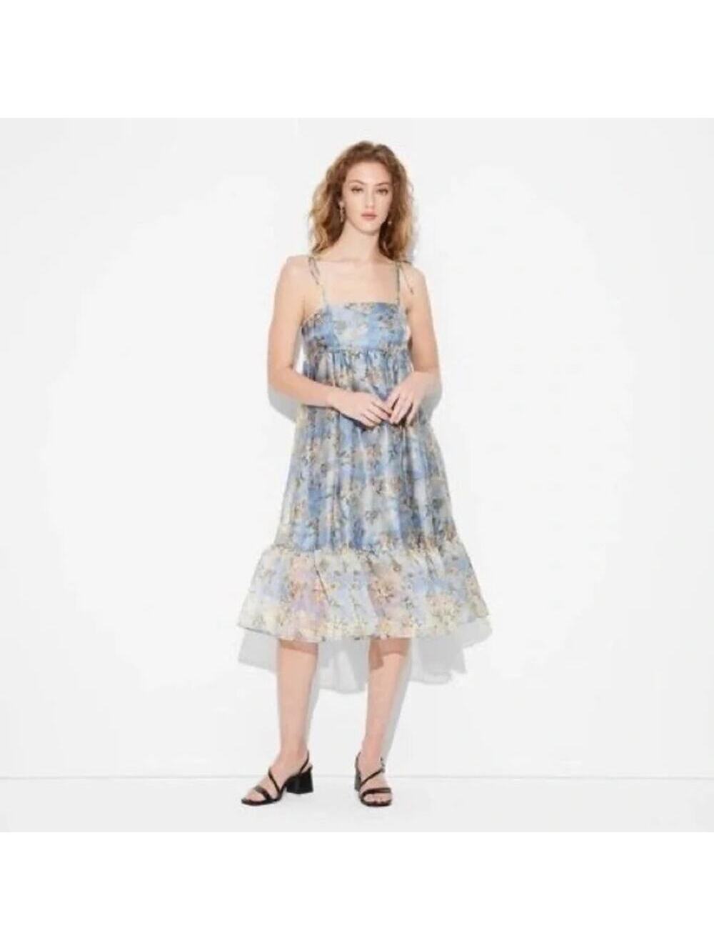 Wild Fable NWT Women's Organza Midi Babydoll Dress Blue Floral XXS